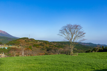 Similar image 13200712