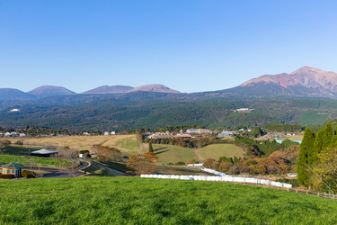 Similar image 13200733