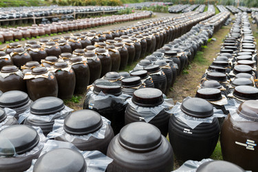 Similar image 13200735