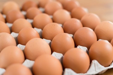 Similar image 13201033