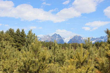 Similar image 13191066