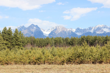 Similar image 13191067