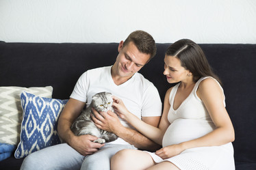 Similar image 13196472