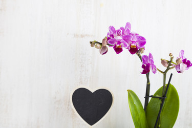 Similar image 13204773