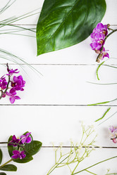 Similar image 13204806