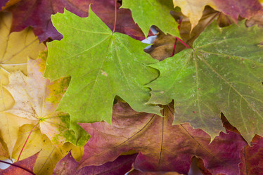 Similar image 13202731