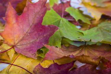 Similar image 13202743