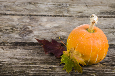 Similar image 13202745