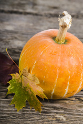 Similar image 13202760