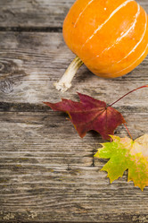 Similar image 13202767