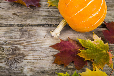 Similar image 13202773