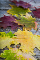 Similar image 13202771