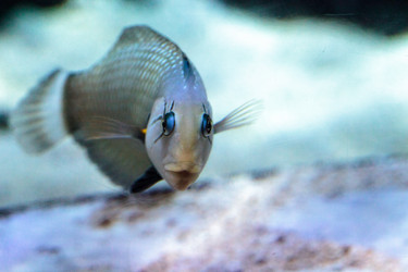 Similar image 13231939