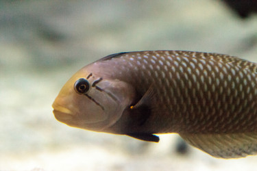 Similar image 13231940