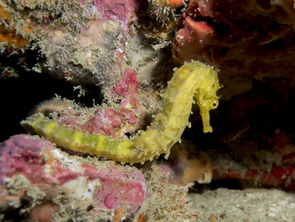 Similar image 13191076