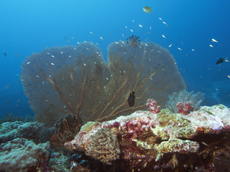 Similar image 13191077