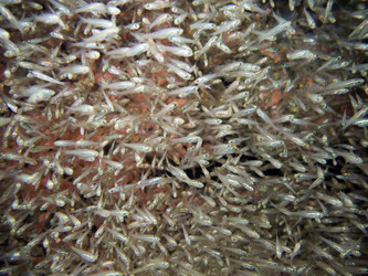 Similar image 13191078