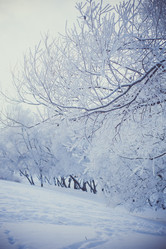 Similar image 13198519