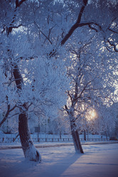 Similar image 13198520