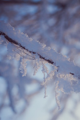 Similar image 13198521