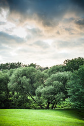 Similar image 13205277