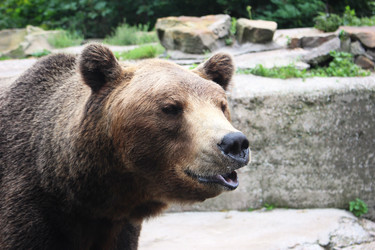 Similar image 13191070