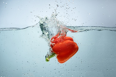 Similar image 13199436