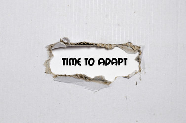 Similar image 13191995