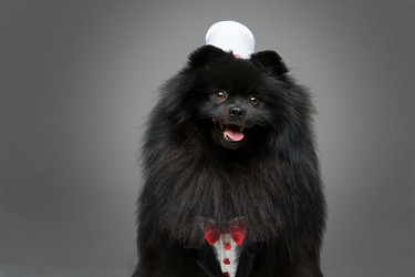 Similar image 13210956