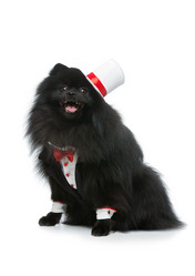 Similar image 13211032