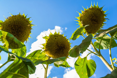 Similar image 13195541