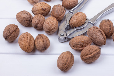 Similar image 13197526