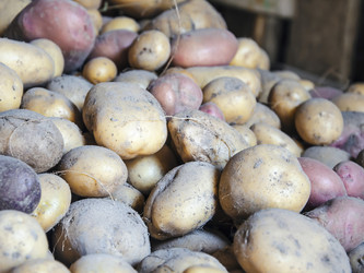 Similar image 13191071