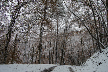 Similar image 13226101