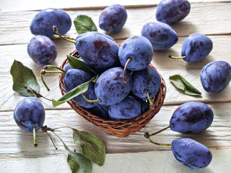 Similar image 13191107