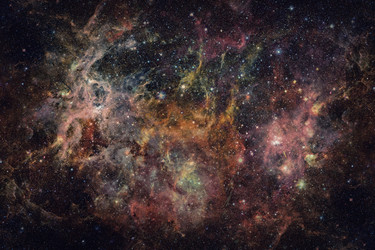 Similar image 13194603