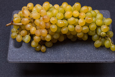 Similar image 13197326