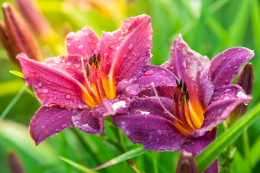 Similar image 13203923