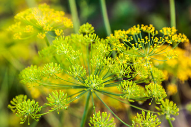 Similar image 13203924