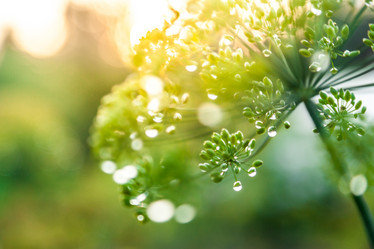 Similar image 13203926