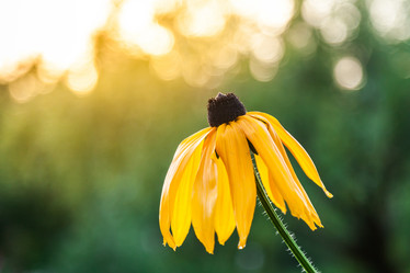 Similar image 13203941