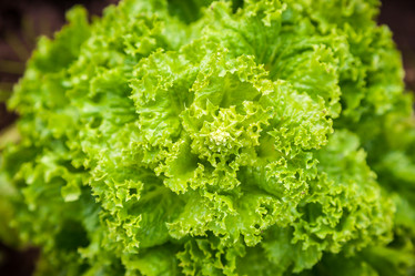 Similar image 13203943