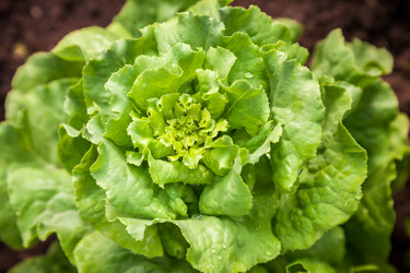 Similar image 13203946