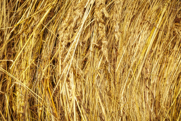 Similar image 13203949