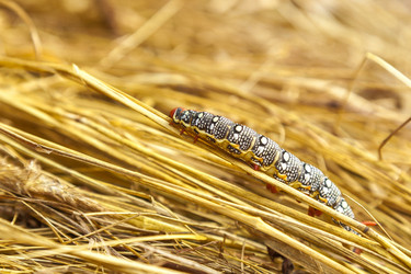 Similar image 13203950