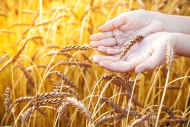 Similar image 13203952