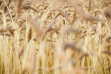 Similar image 13203954