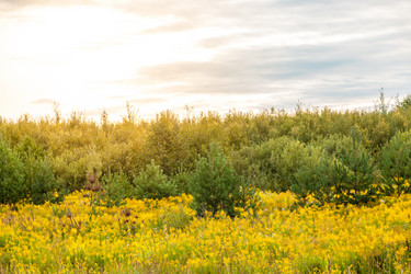 Similar image 13203960