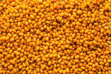 Similar image 13203964