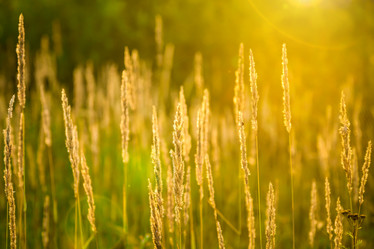 Similar image 13203966